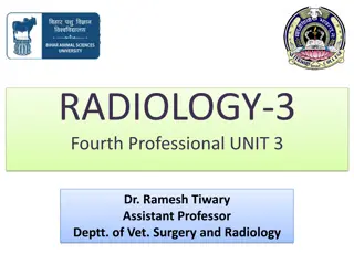 X-Ray Production and Interactions in Radiology