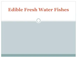 Freshwater Edible Fishes: A Culinary Delight