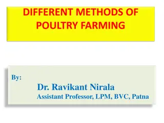 Diverse Methods of Poultry Farming and Agricultural Practices