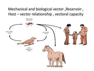 Vector Relationships and Pathogen Transmission