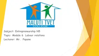 Labour Relations in Entrepreneurship