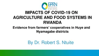 Impacts of COVID-19 on Agriculture and Food Systems in Rwanda: Evidence from Farmers' Cooperatives