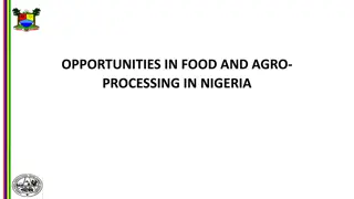 Unlocking Opportunities in Food and Agro-Processing in Nigeria