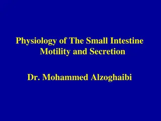 Small Intestine Motility and Secretion Overview