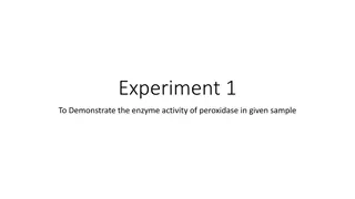 Peroxidase Enzyme Activity in Biological Samples