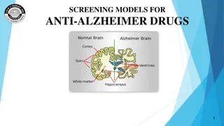 Screening Models for Anti-Alzheimer Drugs