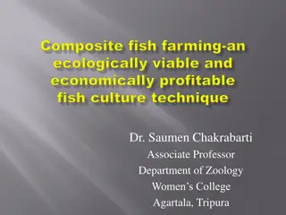 Composite Fish Farming: An Innovative Aquaculture Technique