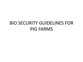 Biosecurity Guidelines for Pig Farms: Importance and Practices