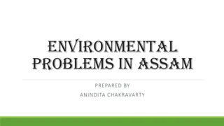Environmental Challenges in Assam: Solid Waste and Deforestation Issues