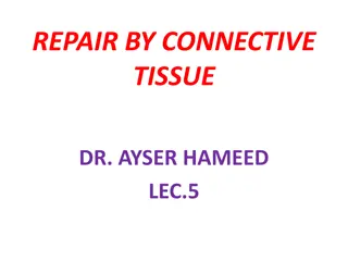 Understanding Repair by Connective Tissue in Healing Processes