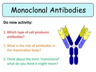 Monoclonal Antibodies in Medical Treatment