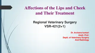 Veterinary Approaches to Lips and Cheeks Afflictions