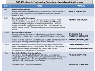 Genetic Engineering: Techniques, Models, and Applications in Microbial Biotechnology and Plant Genetics