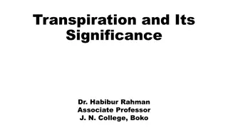 Transpiration in Plants: Importance and Mechanisms