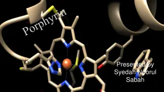 Understanding the Importance of Porphyrins in Living Organisms