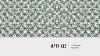 Understanding Matrices in Precalculus: Order, Augmented Matrix, and Row-Echelon Form