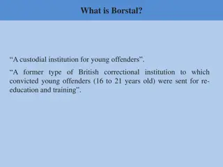 Understanding Borstal: A Former British Youth Correctional System
