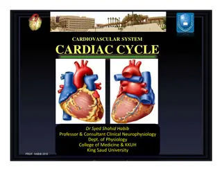 The Cardiac Cycle: Phases and Events Explained