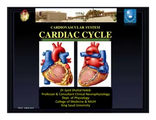 Understanding the Cardiac Cycle: Phases and Events Explained