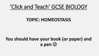 Homeostasis in Humans and Mammals