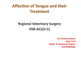 Treatment of Tongue Affections in Veterinary Surgery by Dr. Archana Kumari