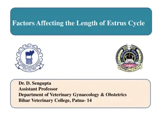 Understanding Factors Influencing Estrus Cycle Length in Veterinary Science