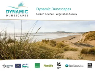 Sand Dune Vegetation: Citizen Science Survey