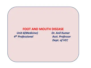 Foot and Mouth Disease: Overview, Symptoms, and Sequelae