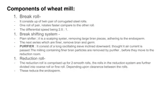 Wheat Milling Process Overview & Wheat Products