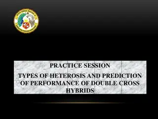 Types of Heterosis and Predicting Performance of Double Cross Hybrids