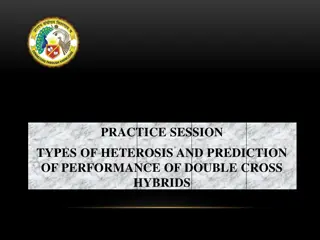 Understanding Types of Heterosis and Predicting Performance of Double Cross Hybrids