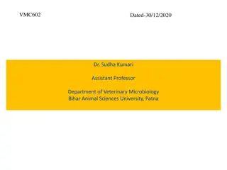 Exploring the Thermophilic Organisms: Thermoplasma Genus