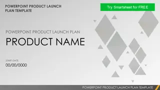 Comprehensive Product Launch Plan Template