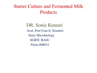 Starter Culture Defects in Fermented Milk Products