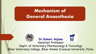 Mechanism of General Anaesthesia Theories: Lipid Solubility, Surface Tension, Microcrystal, Protein Binding