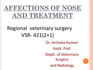 Veterinary Surgery: Affections of Nose and Treatment