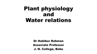 Understanding Plant Physiology and Water Relations