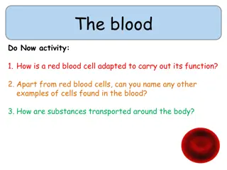 Blood Cells and Transport Mechanisms