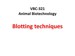 Blotting Techniques in Animal Biotechnology