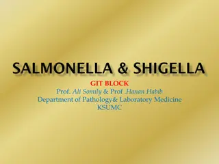 Salmonella and Shigella Pathogenesis, Clinical Features, and Management