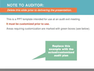 Recap of Customized Audit Plan Activities