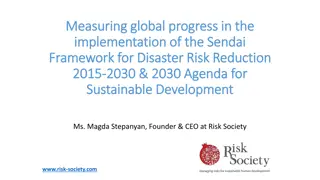 Global Progress in Disaster Risk Reduction Frameworks