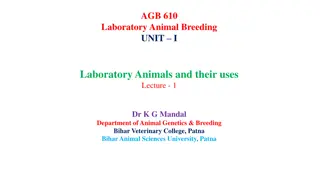 Overview of Laboratory Animals and Their Uses in Biomedical Research