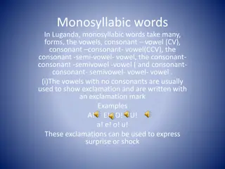 Understanding Monosyllabic Words in Luganda