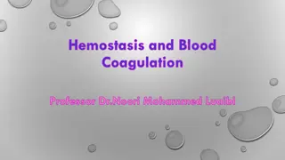 Hemostasis and Blood Coagulation Mechanisms Explained