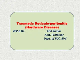 Understanding Traumatic Reticuloperitonitis in Cattle