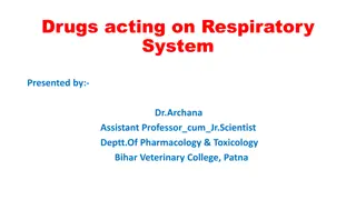 Drugs Acting on the Respiratory System for Effective Treatment