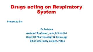 Understanding Drugs Acting on the Respiratory System for Effective Treatment