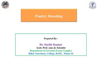 Principles and Systems of Poultry Breeding: A Comprehensive Guide