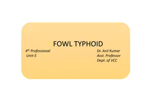 Fowl Typhoid: Causes, Transmission, Clinical Signs, and Control Measures